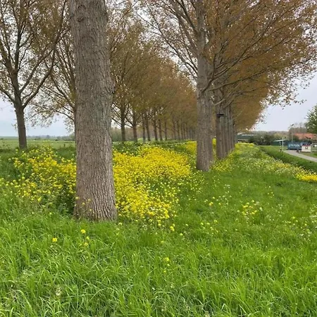 度假居 By Water Near Rotterdam *