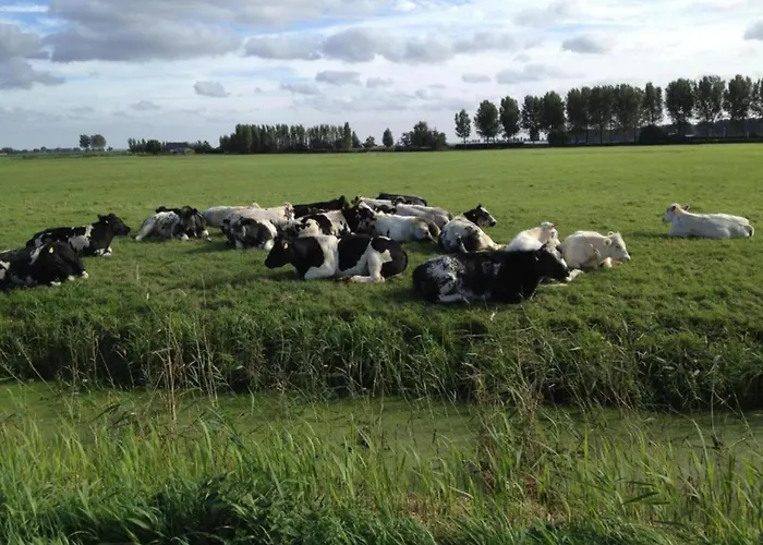 By Water Near Rotterdam * Simonshaven