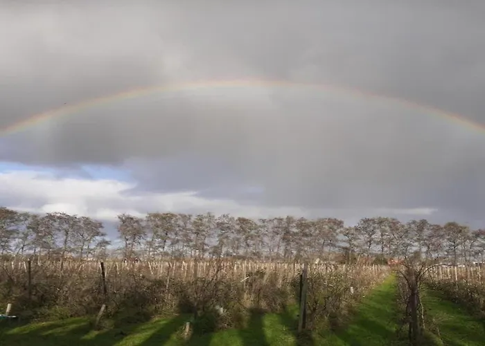 By Water Near Rotterdam Сasa de vacaciones