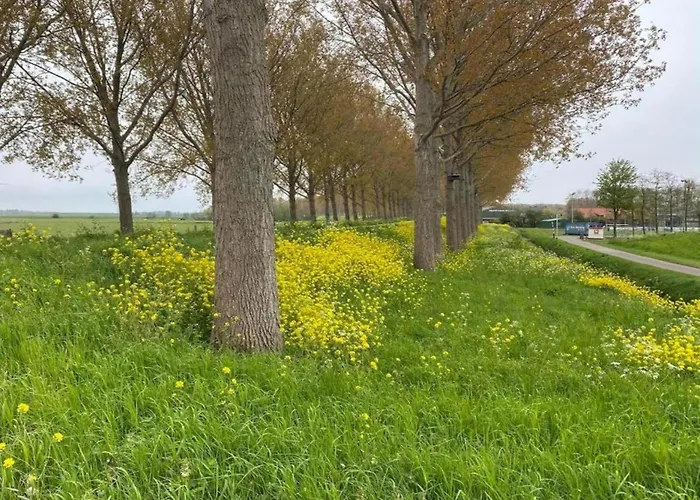 Сasa de vacaciones By Water Near Rotterdam *