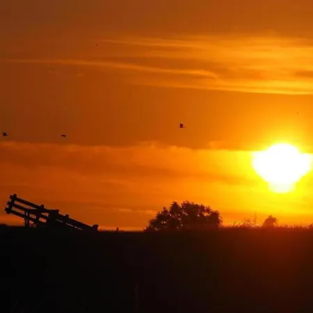 By Water Near Rotterdam Dom wakacyjny *