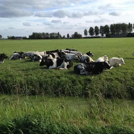 By Water Near Rotterdam * Simonshaven