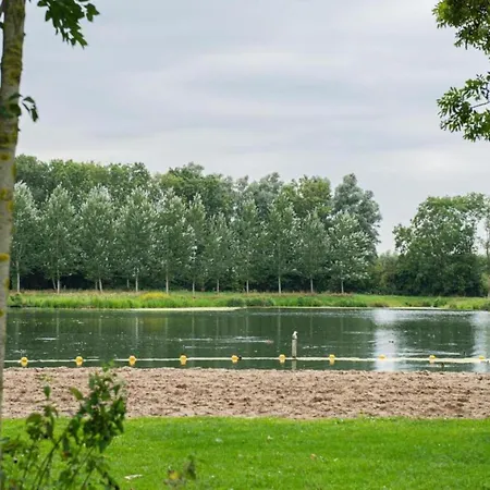 By Water Near Rotterdam *