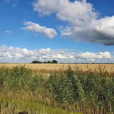 By Water Near Rotterdam Simonshaven