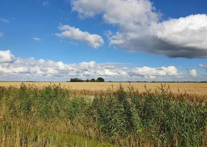 By Water Near Rotterdam Simonshaven